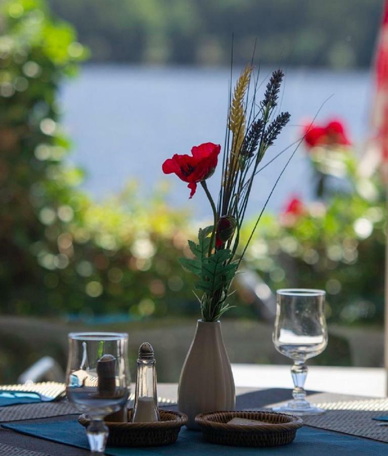 Logis Hotel Du Lac Neuvic  المظهر الخارجي الصورة